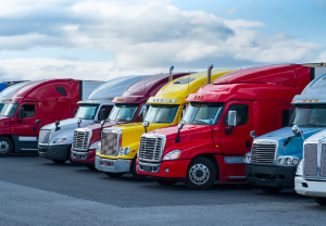 Apex Startup Program